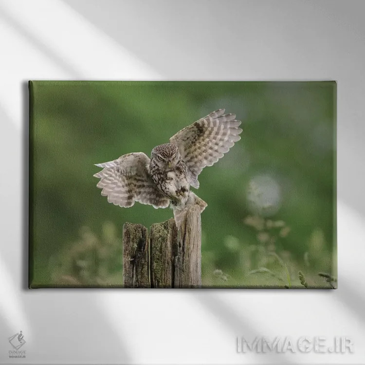 تابلو نیت (یا هدف) اثر باور میسون - نمای روبهرو روی دیوار