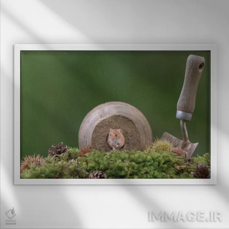 تابلو باغبان همیشهکار اثر باور میسون - نمای قابدار سفید