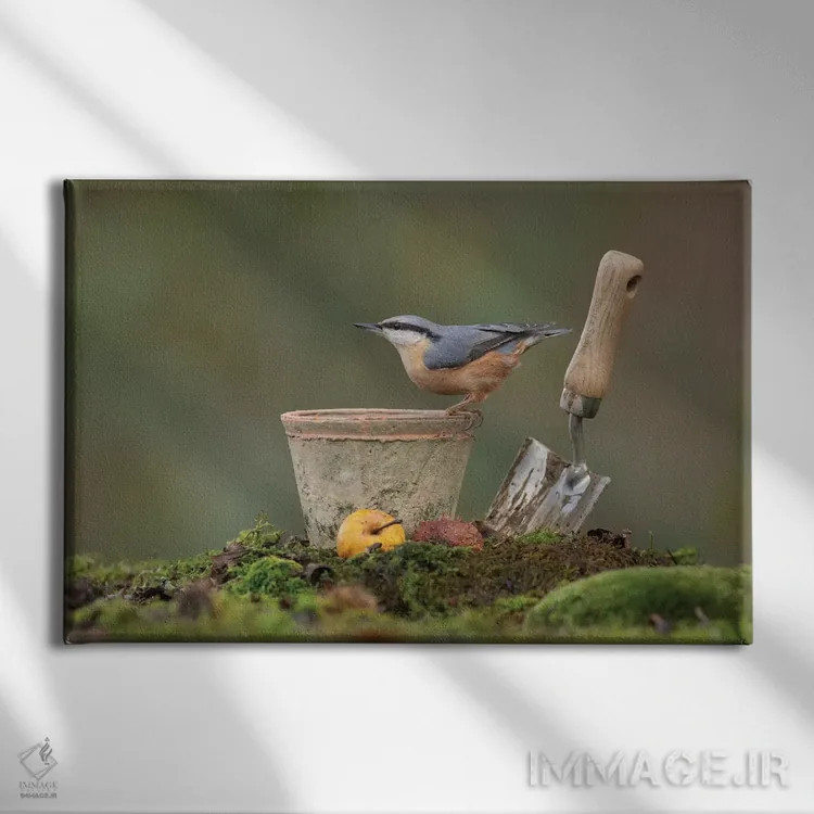 تابلو کمرکبود باغچه اثر باور میسون - نمای روبهرو روی دیوار