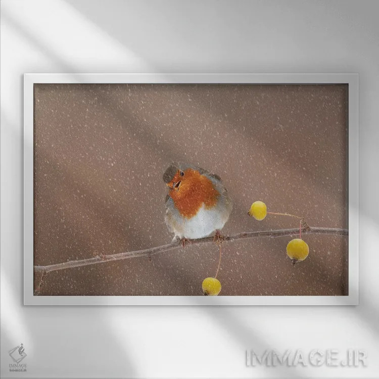 تابلو اشارهٔ شیطنتآمیز اثر باور میسون - نمای قابدار سفید