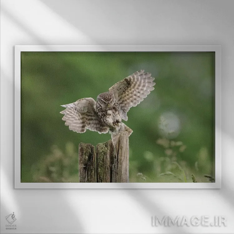 تابلو نیت (یا هدف) اثر باور میسون - نمای قابدار سفید