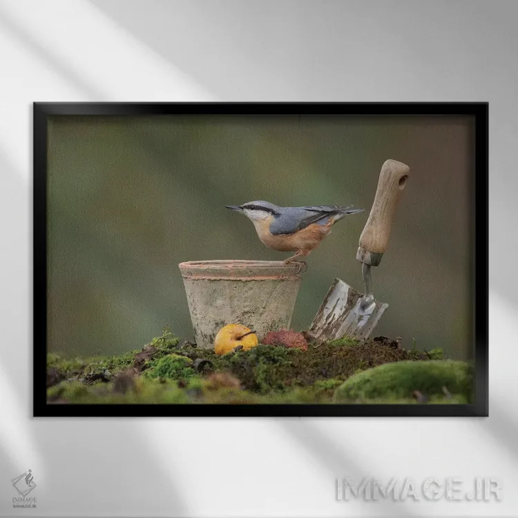 تابلو کمرکبود باغچه اثر باور میسون - نمای قابدار مشکی