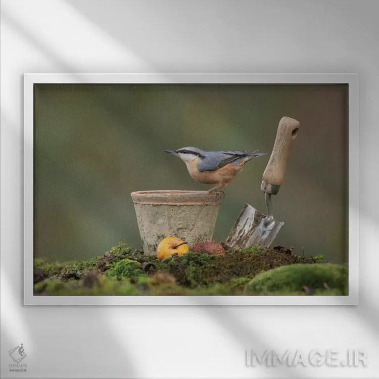 تابلو کمرکبود باغچه اثر باور میسون - نمای قابدار سفید