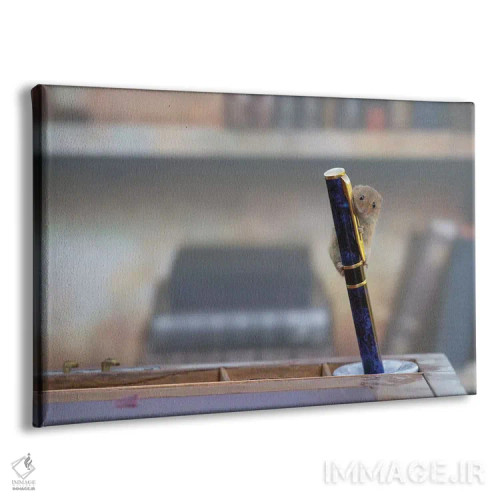 تابلو موش کتابخانه اثر باور میسون - نمای پرسپکتیو محصول