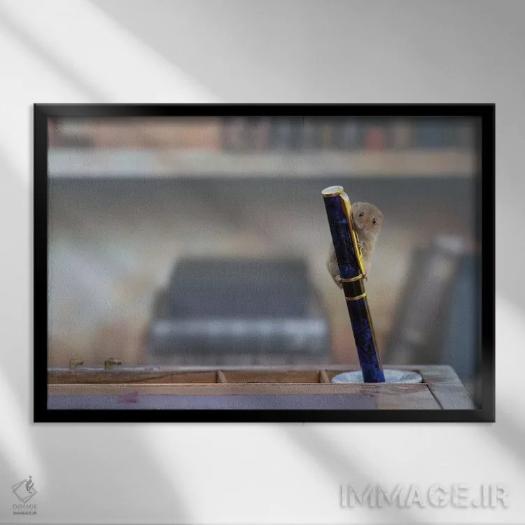 تابلو موش کتابخانه اثر باور میسون - نمای قابدار مشکی