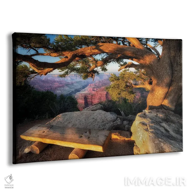 تابلو جایی برای تماشا اثر دنیس فراتس - نمای پرسپکتیو محصول