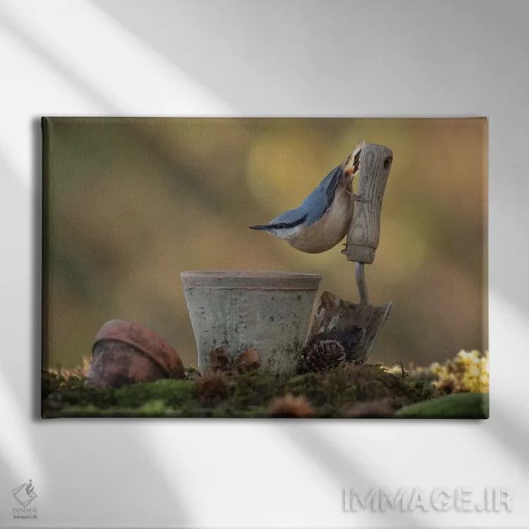 تابلو ژستگیر کوچک اثر باور میسون - نمای روبهرو روی دیوار