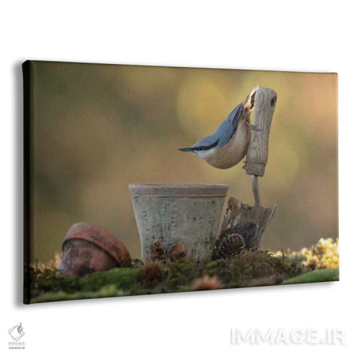 تابلو ژستگیر کوچک اثر باور میسون - نمای پرسپکتیو محصول