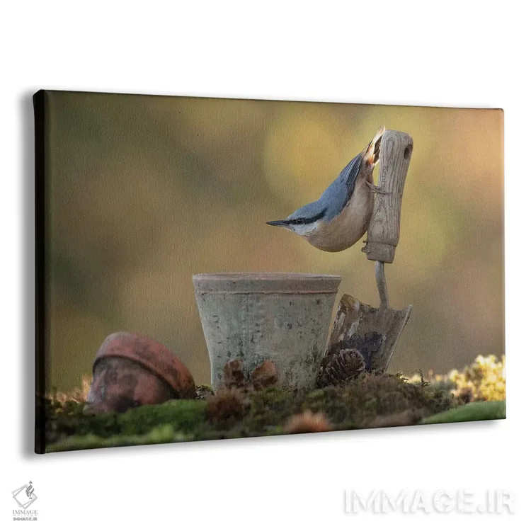 تابلو ژستگیر کوچک اثر باور میسون - نمای پرسپکتیو محصول