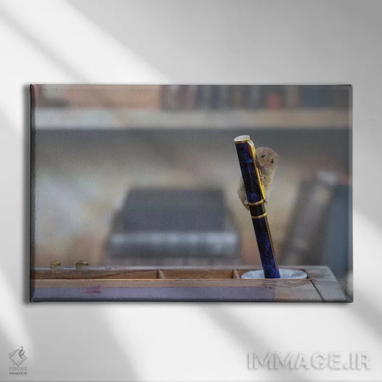 تابلو موش کتابخانه اثر باور میسون - نمای روبهرو روی دیوار