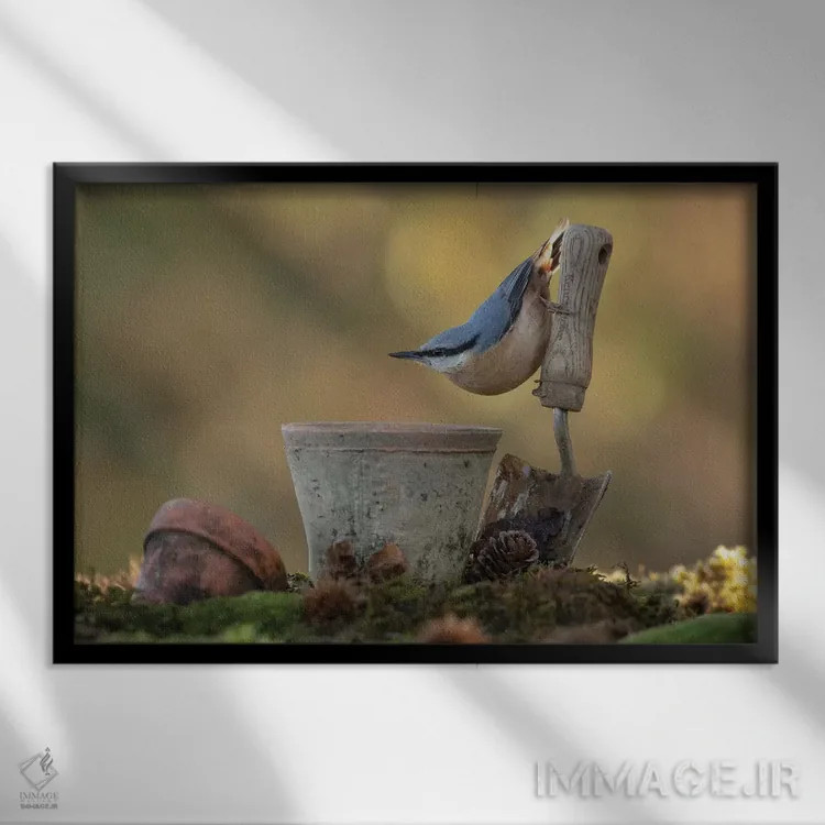 تابلو ژستگیر کوچک اثر باور میسون - نمای قابدار مشکی