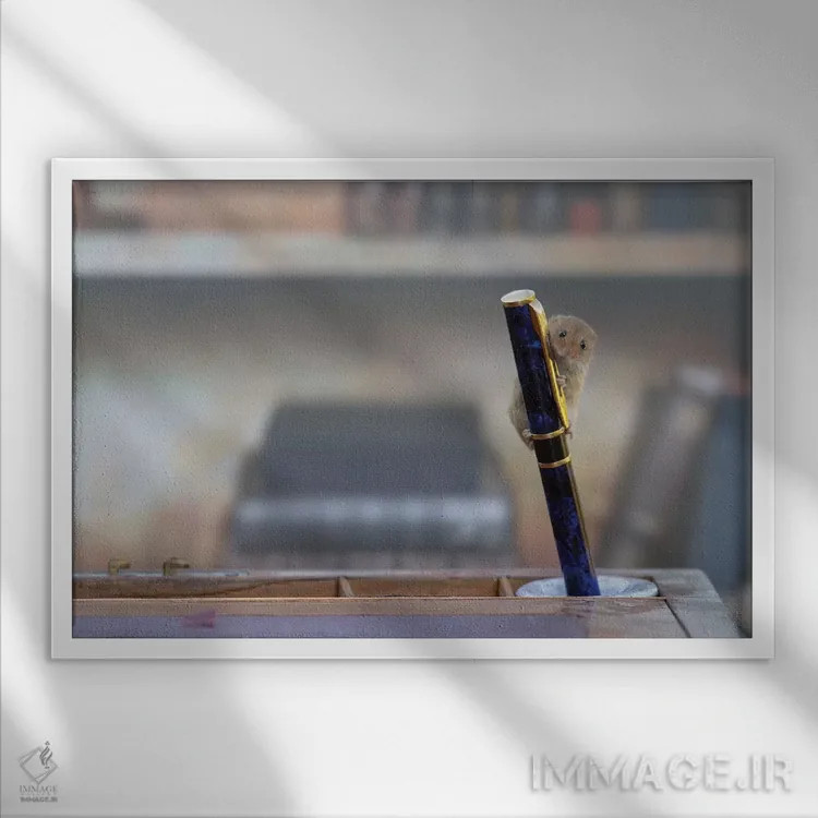 تابلو موش کتابخانه اثر باور میسون - نمای قابدار سفید