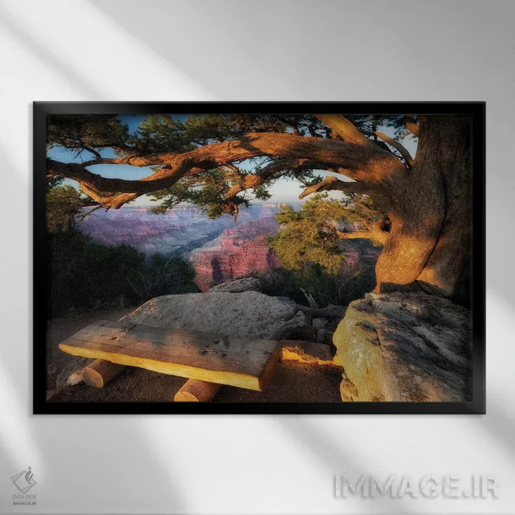 تابلو جایی برای تماشا اثر دنیس فراتس - نمای قابدار مشکی