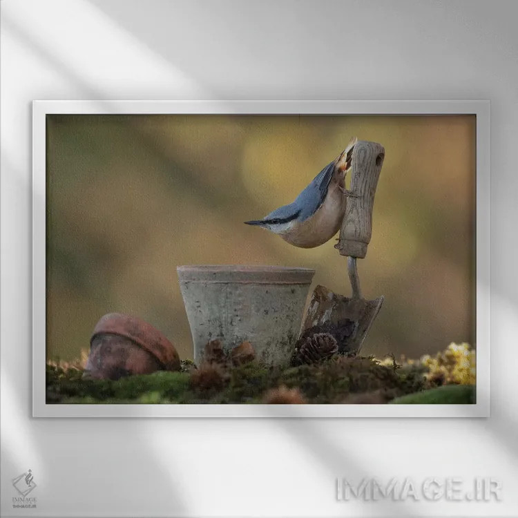 تابلو ژستگیر کوچک اثر باور میسون - نمای قابدار سفید