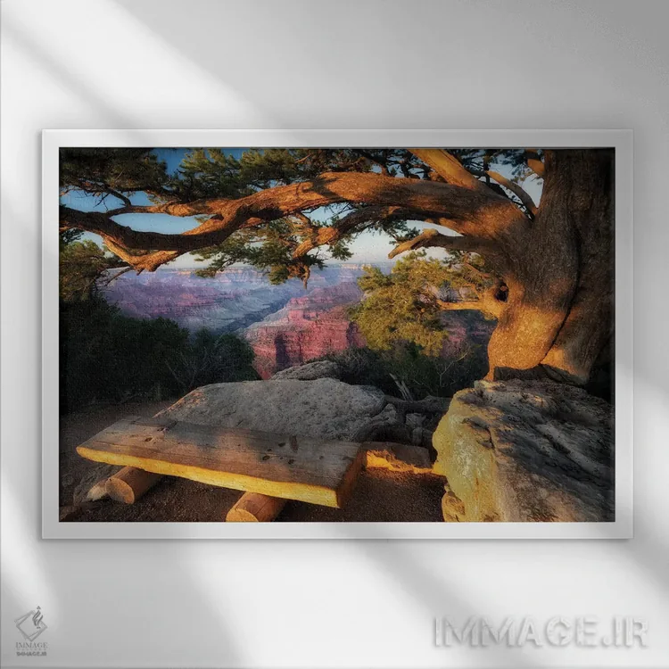 تابلو جایی برای تماشا اثر دنیس فراتس - نمای قابدار سفید