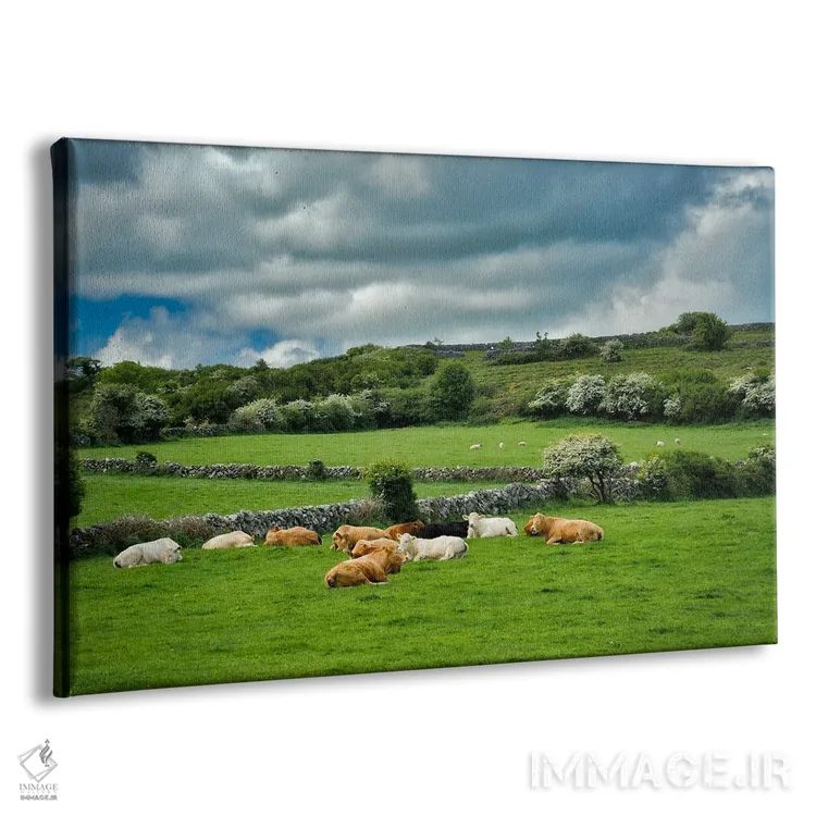 تابلو مرتع ایرلندی اثر دنیس فراتس - نمای پرسپکتیو محصول