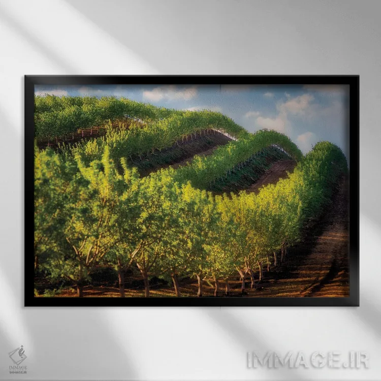 تابلو باغ میوه در دامنهٔ تپه اثر دنیس فراتس - نمای قابدار مشکی