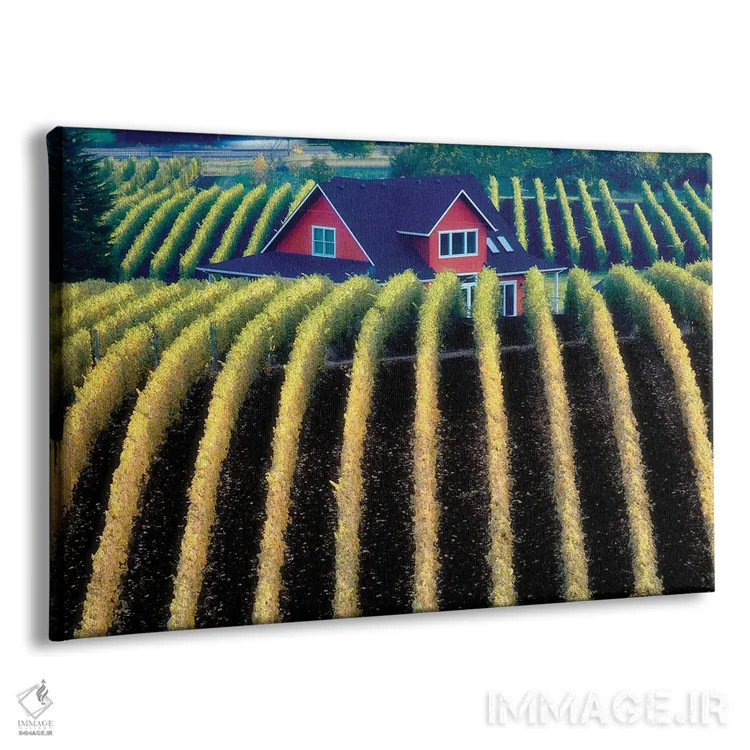 تابلو تاکستان پاییزی اثر دنیس فراتس - نمای پرسپکتیو محصول