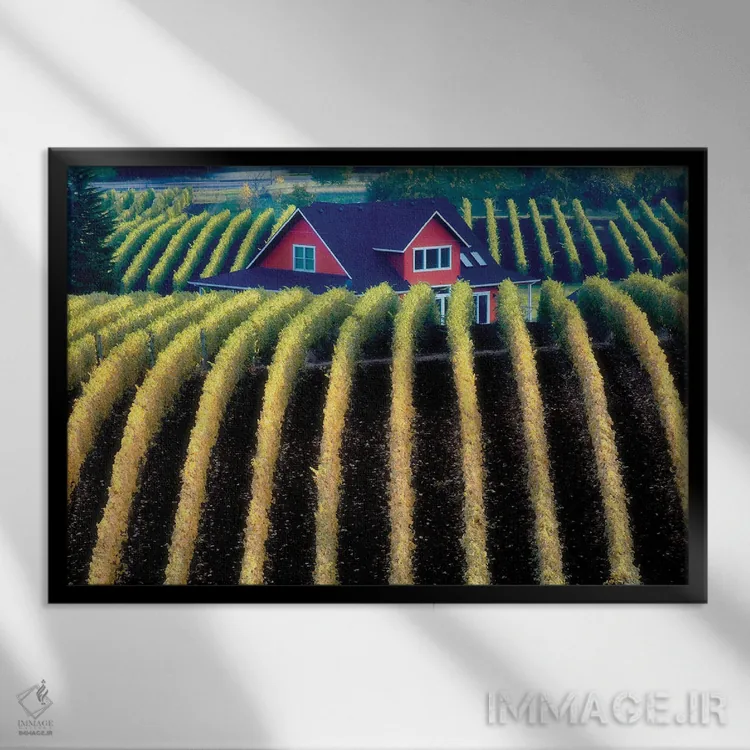تابلو تاکستان پاییزی اثر دنیس فراتس - نمای قابدار مشکی