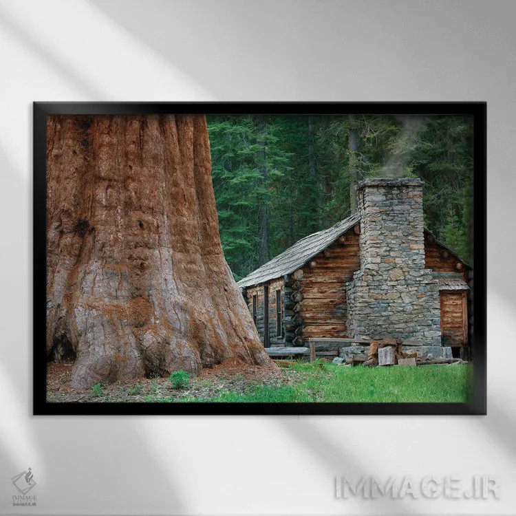 تابلو کلبه میان درختان ردوود اثر دنیس فراتس - نمای قابدار مشکی