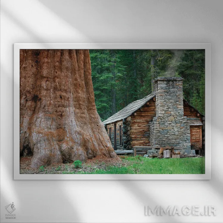 تابلو کلبه میان درختان ردوود اثر دنیس فراتس - نمای قابدار سفید