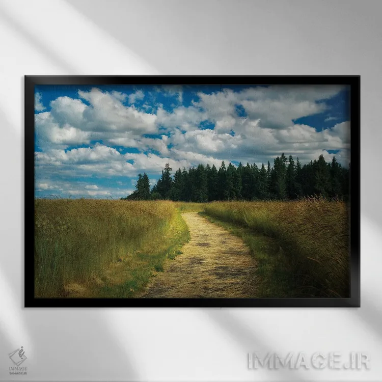 تابلو مسیر آرام اثر دنیس فراتس - نمای قابدار مشکی