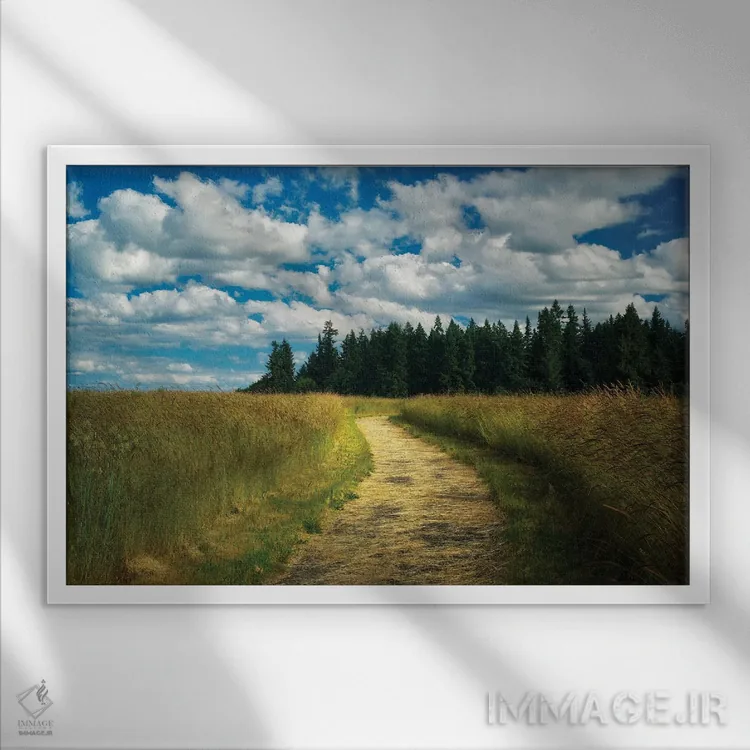 تابلو مسیر آرام اثر دنیس فراتس - نمای قابدار سفید