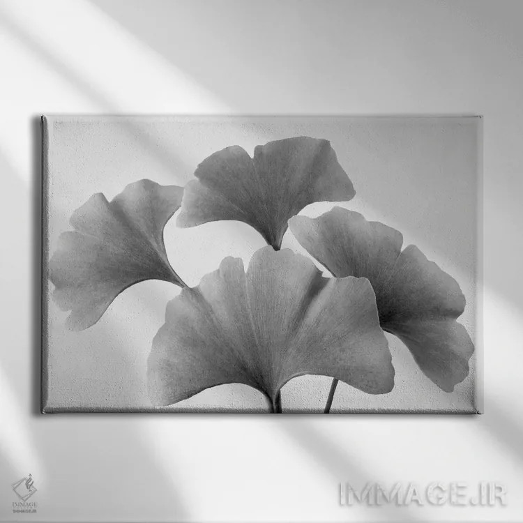 تابلو برگهای جینکو اثر دنیس فراتس - نمای روبهرو روی دیوار