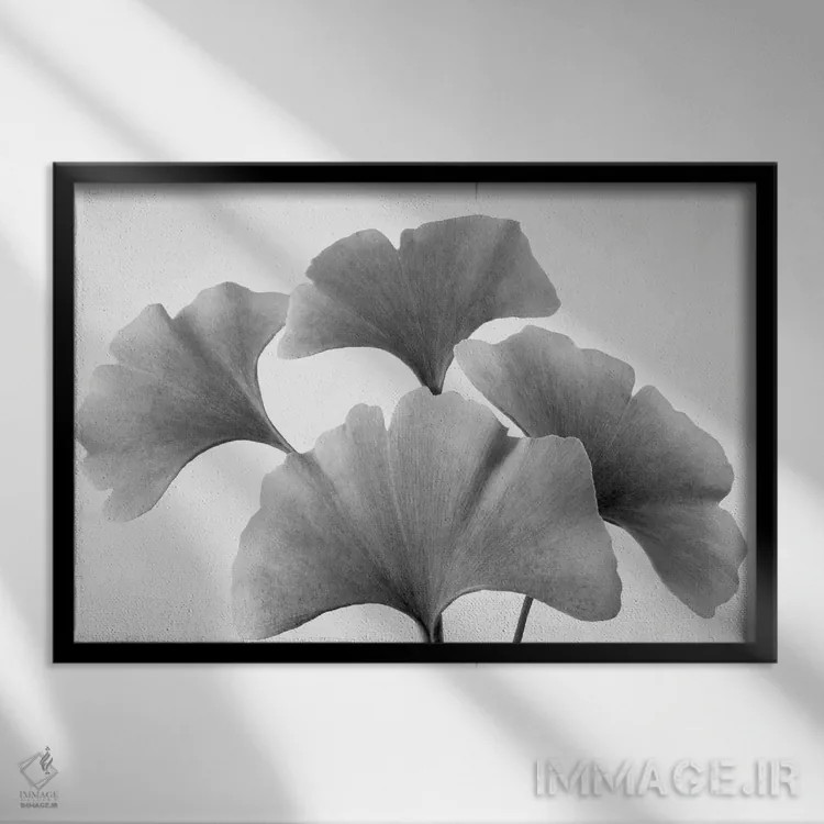 تابلو برگهای جینکو اثر دنیس فراتس - نمای قابدار مشکی