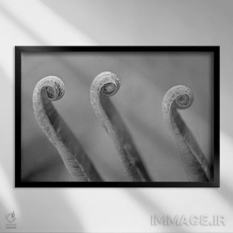 تابلو سهتا اثر دنیس فراتس - نمای قابدار مشکی