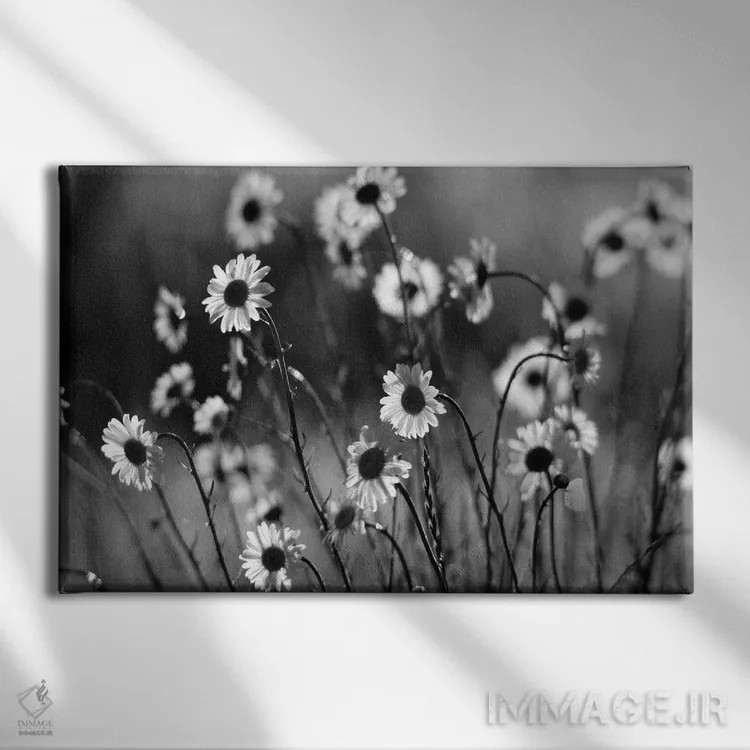 تابلو گلهای بابونهٔ صبحگاهی اثر دنیس فراتس - نمای روبهرو روی دیوار