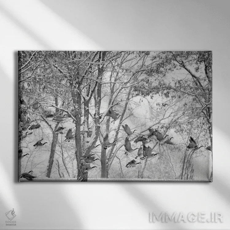 تابلو غازهای زمستانی اثر دنیس فراتس - نمای روبهرو روی دیوار