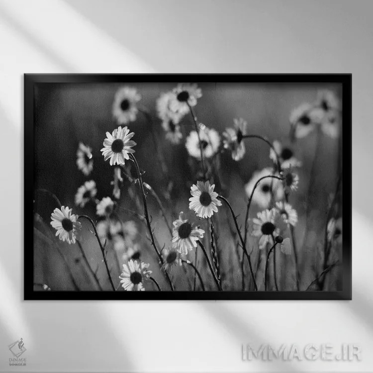 تابلو گلهای بابونهٔ صبحگاهی اثر دنیس فراتس - نمای قابدار مشکی