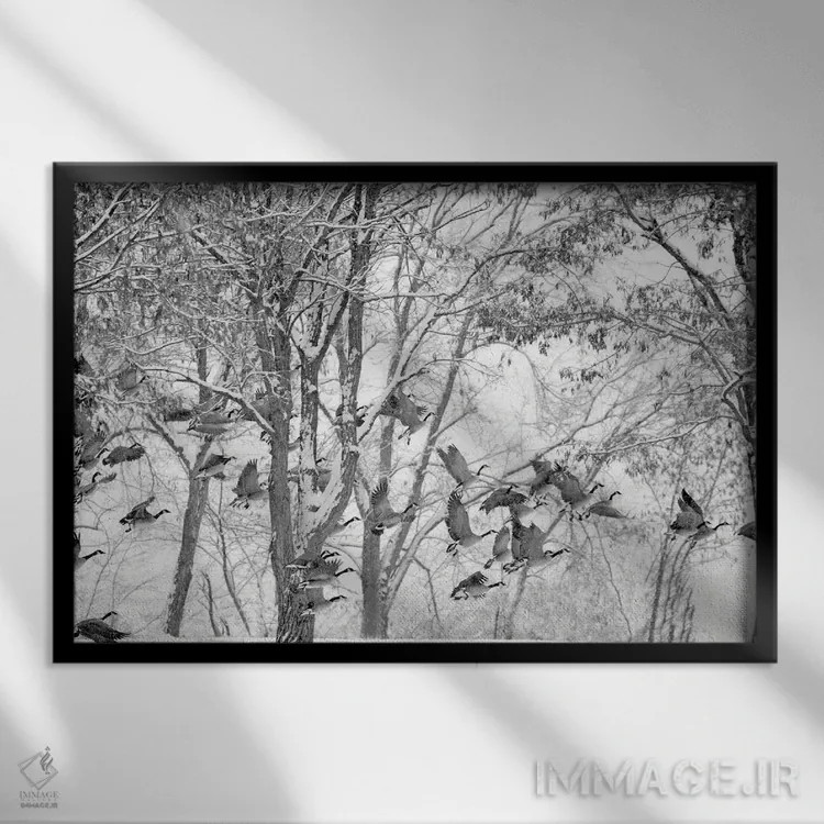 تابلو غازهای زمستانی اثر دنیس فراتس - نمای قابدار مشکی