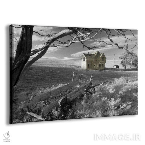 تابلو مزرعهٔ متروکه اثر دنیس فراتس - نمای پرسپکتیو محصول