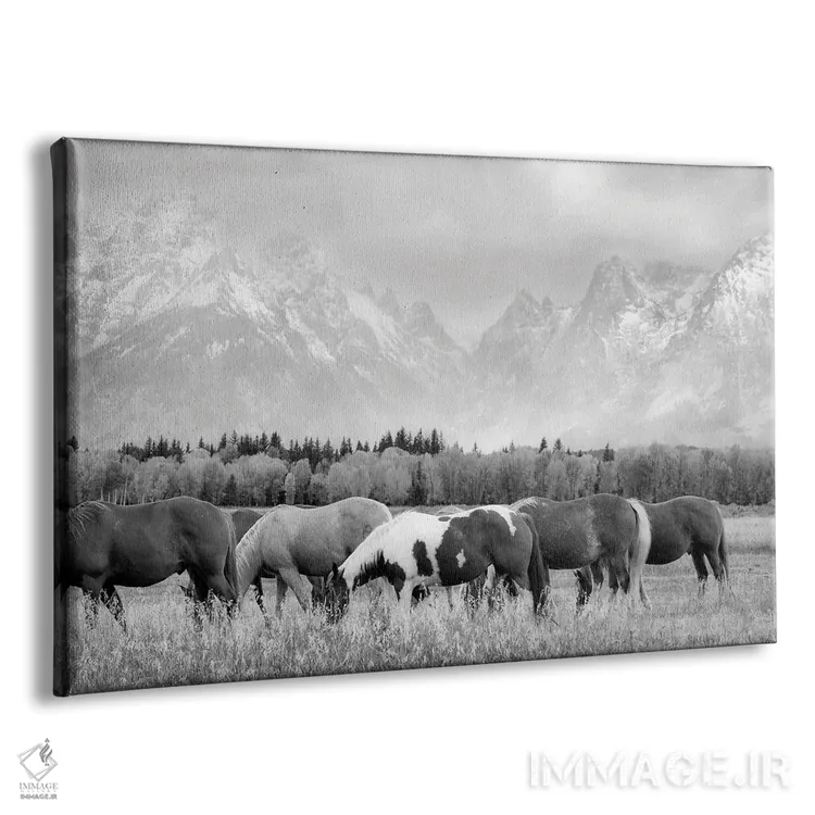 تابلو اسبهای تتون II (رشتهکوه تتون) اثر دنیس فراتس - نمای پرسپکتیو محصول