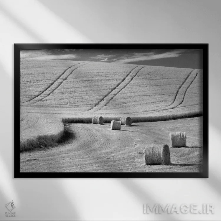 تابلو زمان برداشت محصول اثر دنیس فراتس - نمای قابدار مشکی
