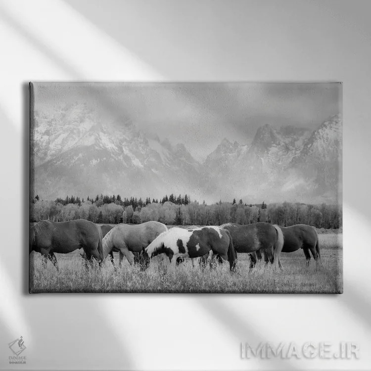 تابلو اسبهای تتون II (رشتهکوه تتون) اثر دنیس فراتس - نمای روبهرو روی دیوار