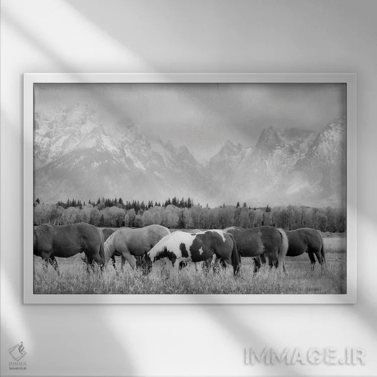 تابلو اسبهای تتون II (رشتهکوه تتون) اثر دنیس فراتس - نمای قابدار سفید