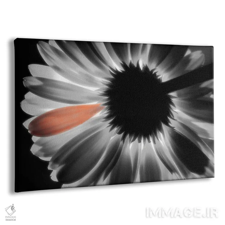 تابلو تکرنگ اثر دنیس فراتس - نمای پرسپکتیو محصول