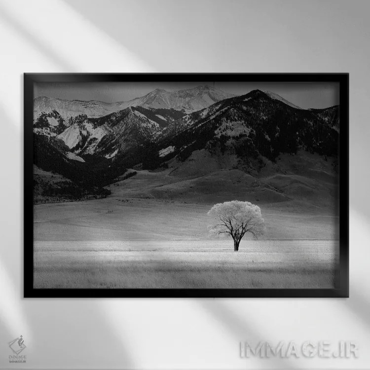تابلو درخت تنها IV اثر دنیس فراتس - نمای قابدار مشکی