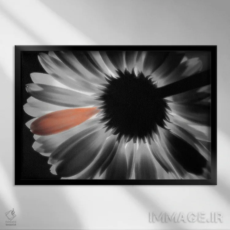 تابلو تکرنگ اثر دنیس فراتس - نمای قابدار مشکی