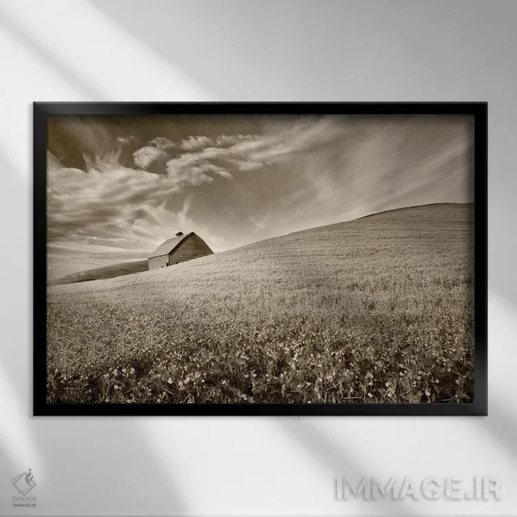 تابلو انبار و مزرعهٔ محصولات اثر دنیس فراتس - نمای قابدار مشکی