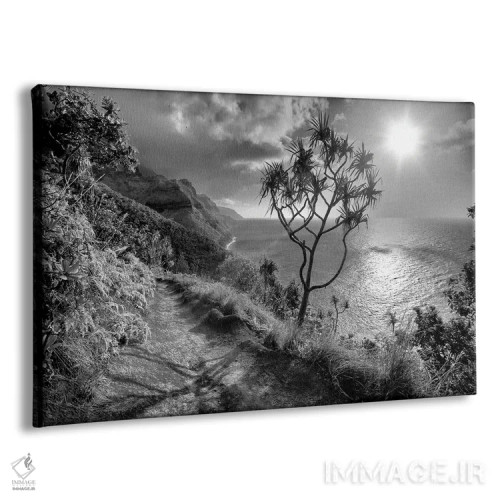 تابلو مسیر گردشگری کائوآی (جزیره) اثر دنیس فراتس - نمای پرسپکتیو محصول