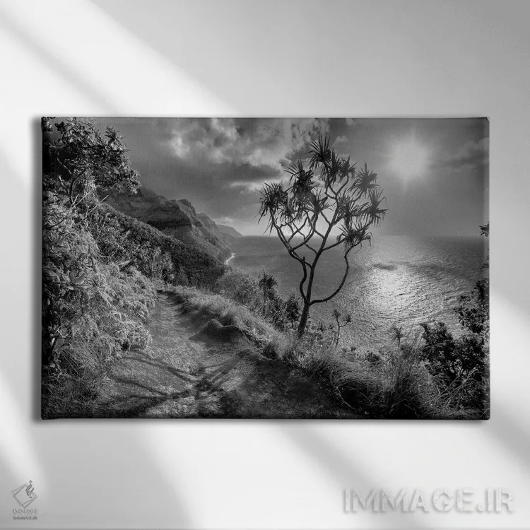 تابلو مسیر گردشگری کائوآی (جزیره) اثر دنیس فراتس - نمای روبهرو روی دیوار