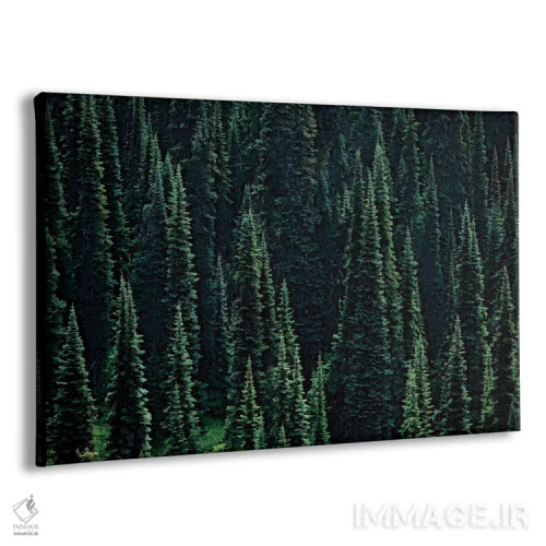 تابلو جنگل صنوبر اثر دنیس فراتس - نمای پرسپکتیو محصول