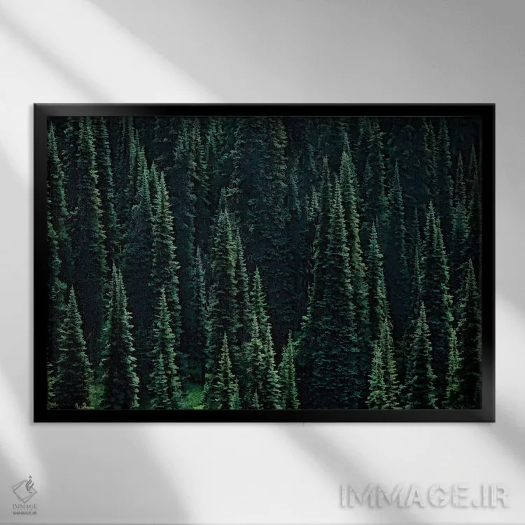 تابلو جنگل صنوبر اثر دنیس فراتس - نمای قابدار مشکی