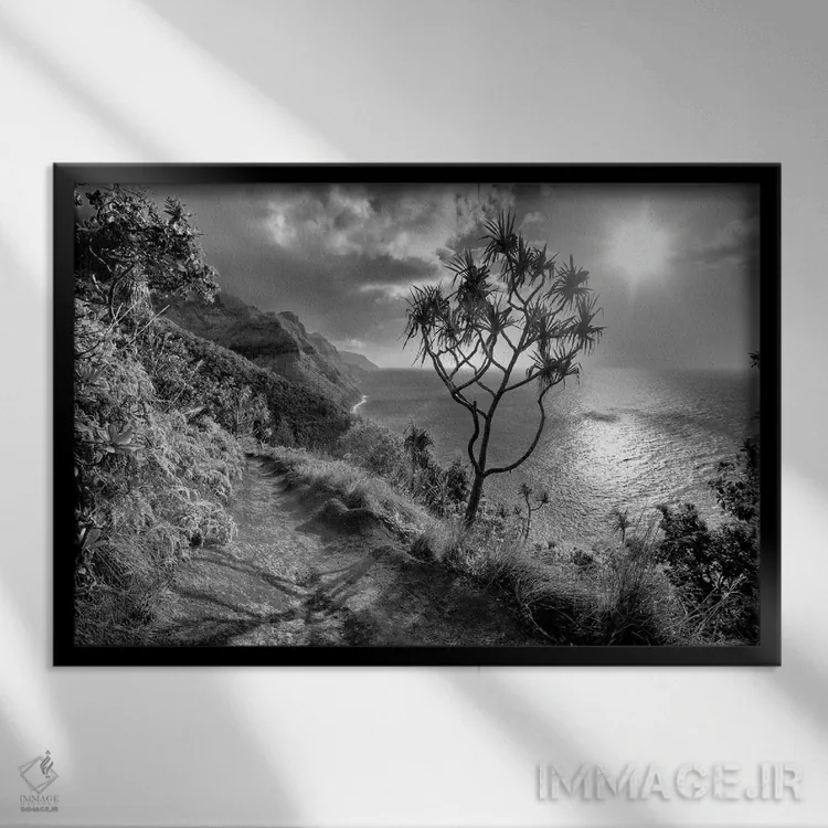 تابلو مسیر گردشگری کائوآی (جزیره) اثر دنیس فراتس - نمای قابدار مشکی