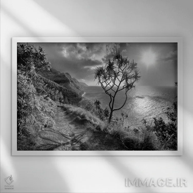 تابلو مسیر گردشگری کائوآی (جزیره) اثر دنیس فراتس - نمای قابدار سفید