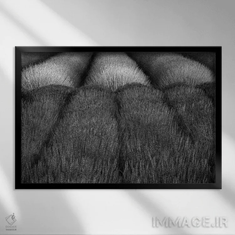 تابلو مزارع اسطوخودوس اثر دنیس فراتس - نمای قابدار مشکی